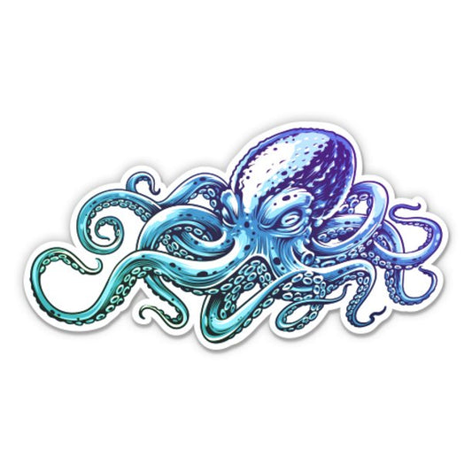 Octopus 3
